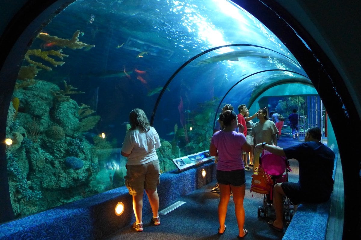 Moody Gardens - Gallery Image 1